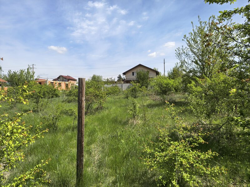 Peris, str. Orhideelor,